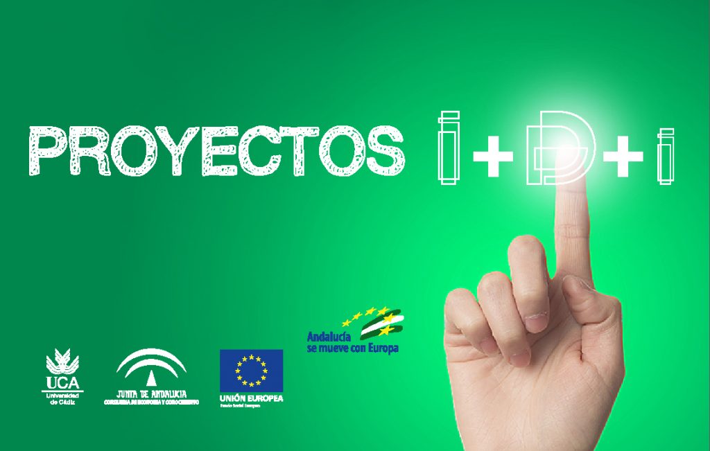 IMG Proyectos de I+D+i de la Junta de Andalucía