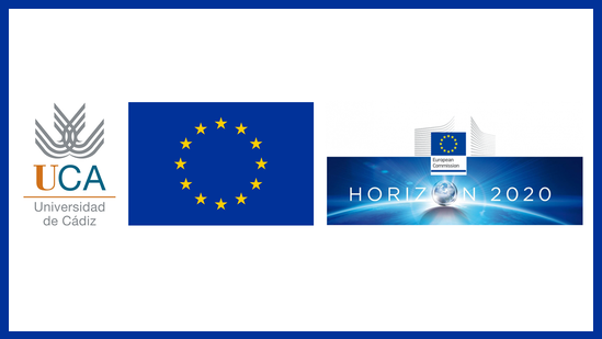 Concurso público de contratos predoctorales asociados al Proyecto EU HORIZON 2020 MSCA-ITN-ETN “PremAtuRe nEwborn motor and cogNitive impairmenTs: Early diagnosis – PARENT” (Grant Agreement Nº 956394)